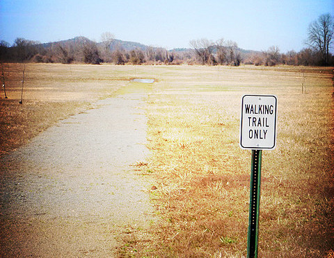 Sunday at the Park