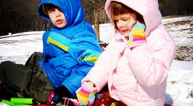 The Sledders