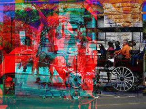 horse_carriage_charleston